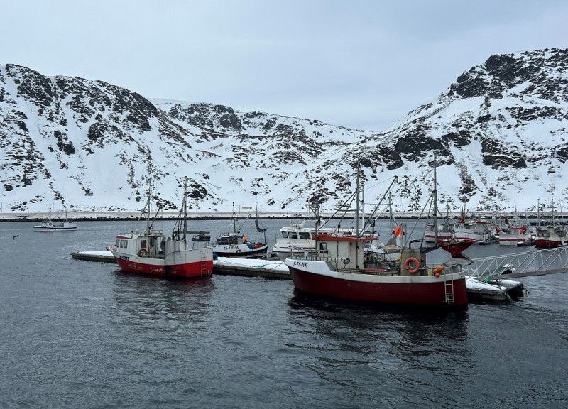 Bacalao noruego: del frío del Norte al calor del Caribe